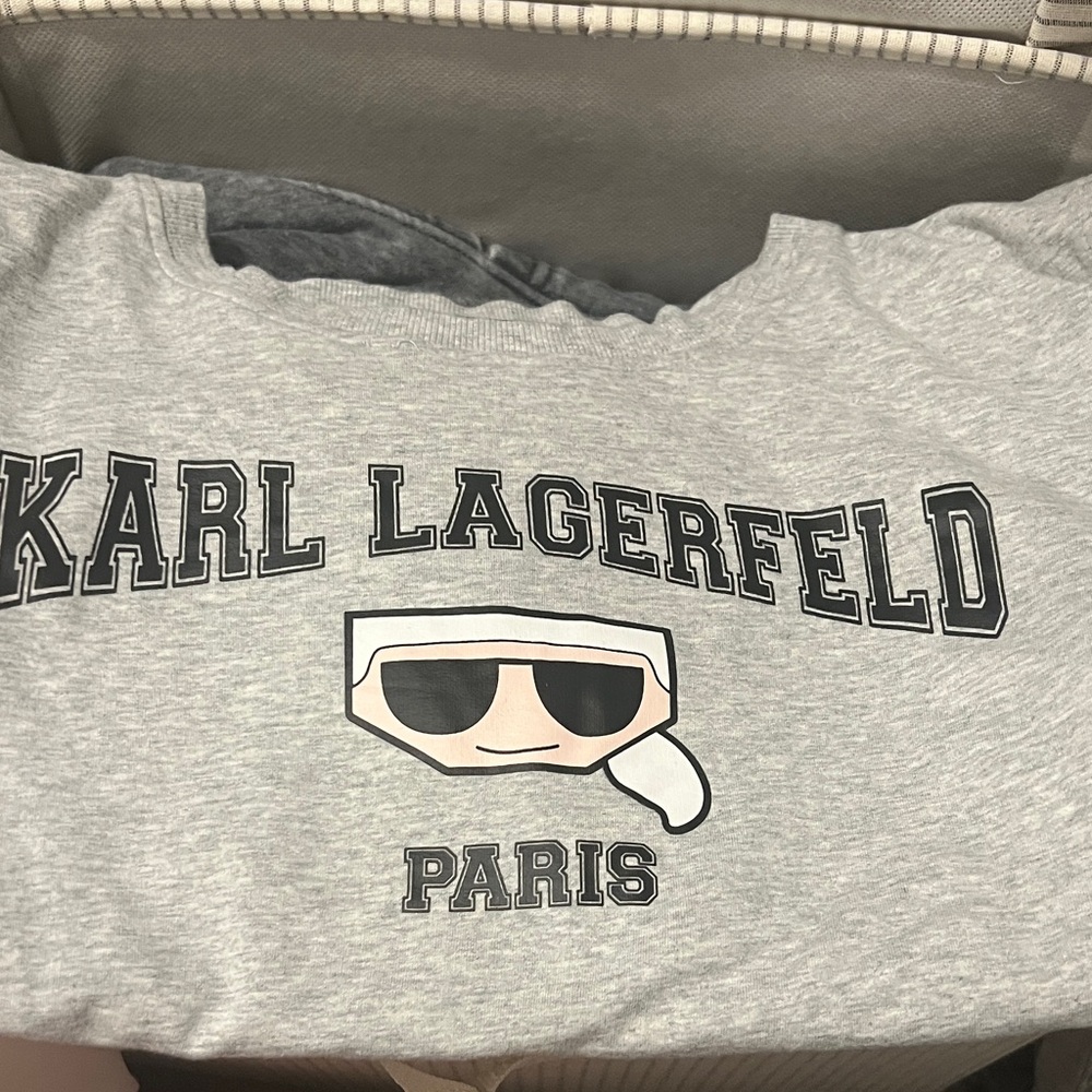 Karl Lagerfeld Light Gray Graphic Sweater